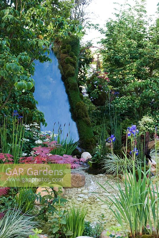 Kazahana - A light snow flurry from a cloudless sky, Green wall and plants surrounding a pebble pool, including Iris sibirica 'Tropic Night' and Acer palmatum - Silver medal winner, RHS Chelsea Flower Show 2010