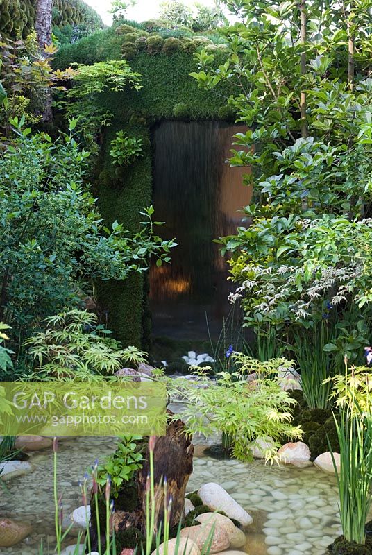 Moss wall with water feature leading to a pebble pool - Kazahana - A light snow flurry from a cloudless sky, Silver medal winner, RHS Chelsea Flower Show 2010 