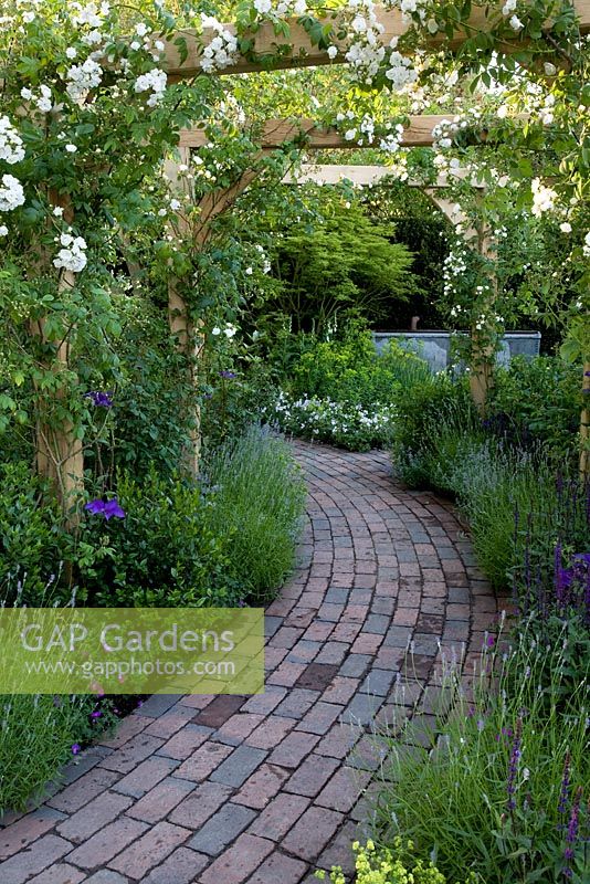 View of Pergola with Rosa 'Rambling Rector, Clematis 'The President, Salvia 'Caradonna', Lavandula and Geranium.  The M&G Garden, Gold medal winner, RHS Chelsea Flower Show 2010 
