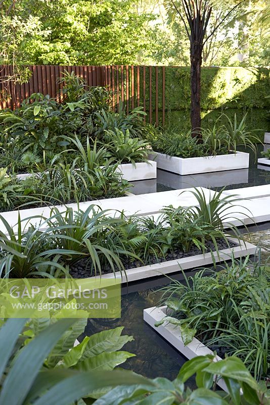 Pond with planting in rectangular beds. The Tourism Malaysia Garden, Gold medal winner, RHS Chelsea Flower Show 2010 
