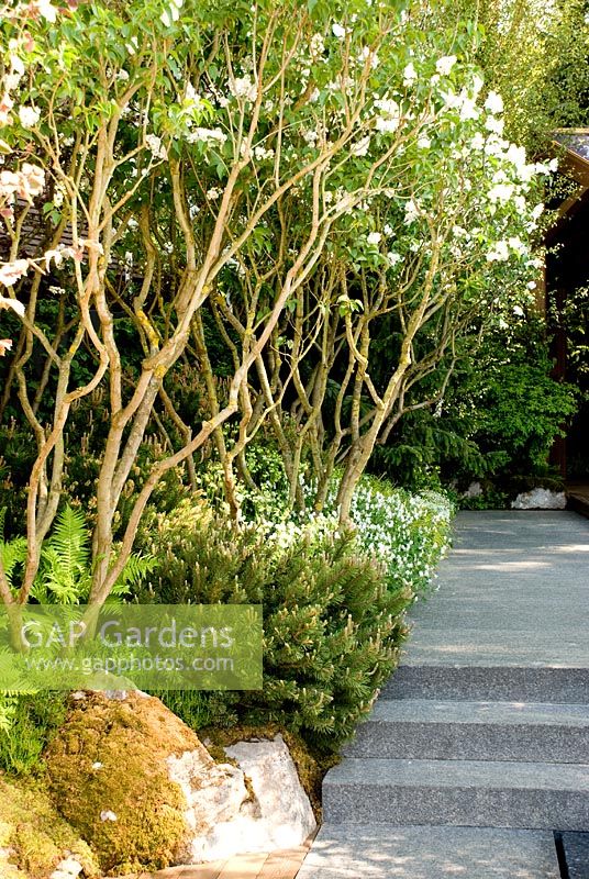 Stone path and steps. Kebony - Naturally Norway Garden. RHS Chelsea Flower Show 2010 