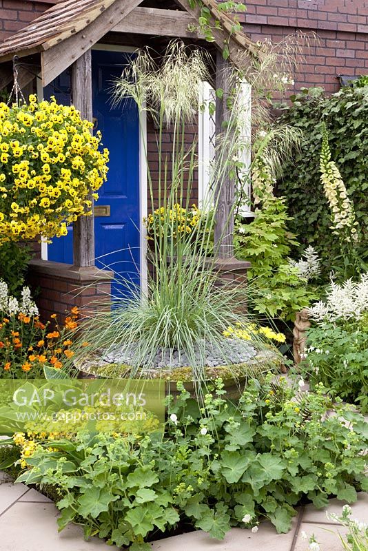 Front garden of cottage with Stipa gigantea in island bed. The Sun Golden Wedding Garden, Silver Gilt Medal Winner, RHS Chelsea Flower Show 2010 
 
