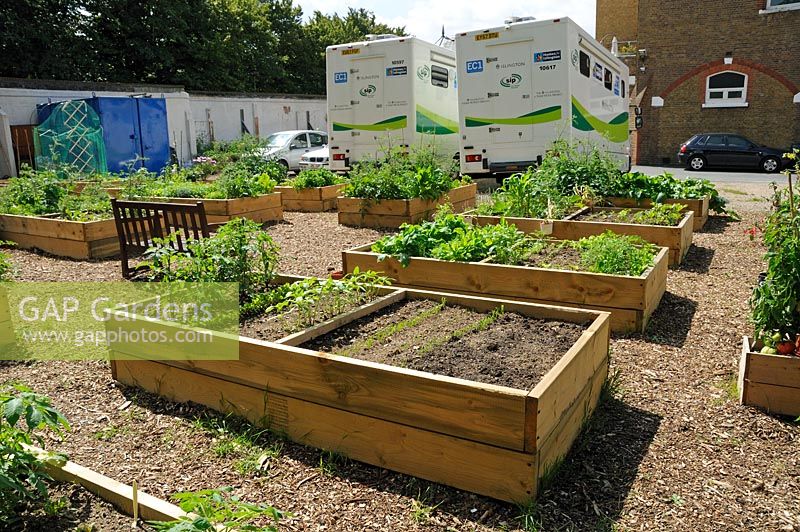 St. Luke's Community Centre in Finsbury have given over part of their car park to raised bed for local people to grow vegetables in. Islington, North London. 
