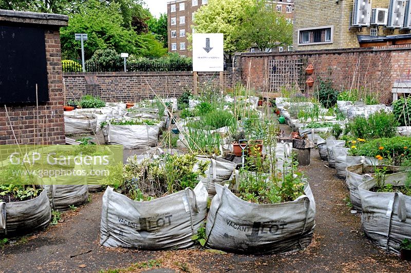 The Vacant Lot allotment garden where local residents from a nearby housing estate grow vegetables in growbags on a disused space in Hoxton, London, UK