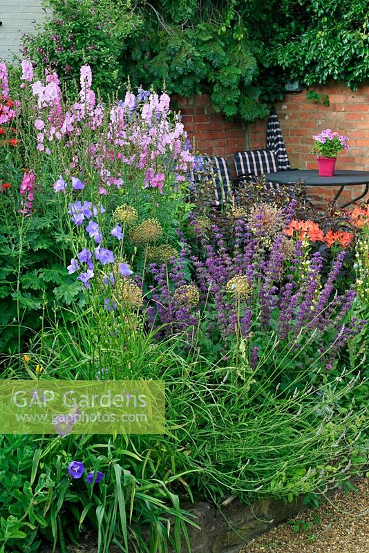 Richly coloured perennials add seclusion to a sheltered seating area, including Lychnis chalcedonica, Lilium regale, Sidalcea, Campanula, Salvia verticillata 'Purple Rain' and Alstroemeria