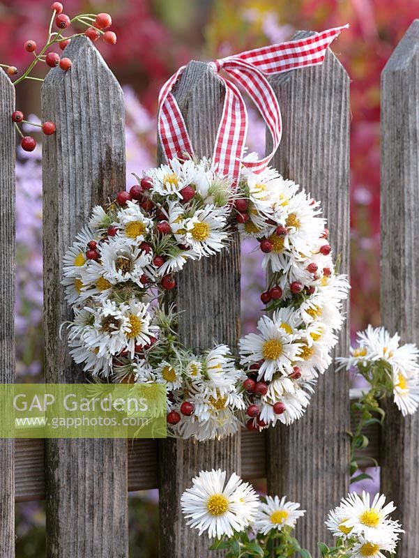 Wreath made of white Asters - Michaelmas Daisies hanging from fence