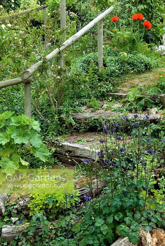 Rustic steps and handrail in cottage garden.  Open Gardens Day 2010, Eye, Suffolk