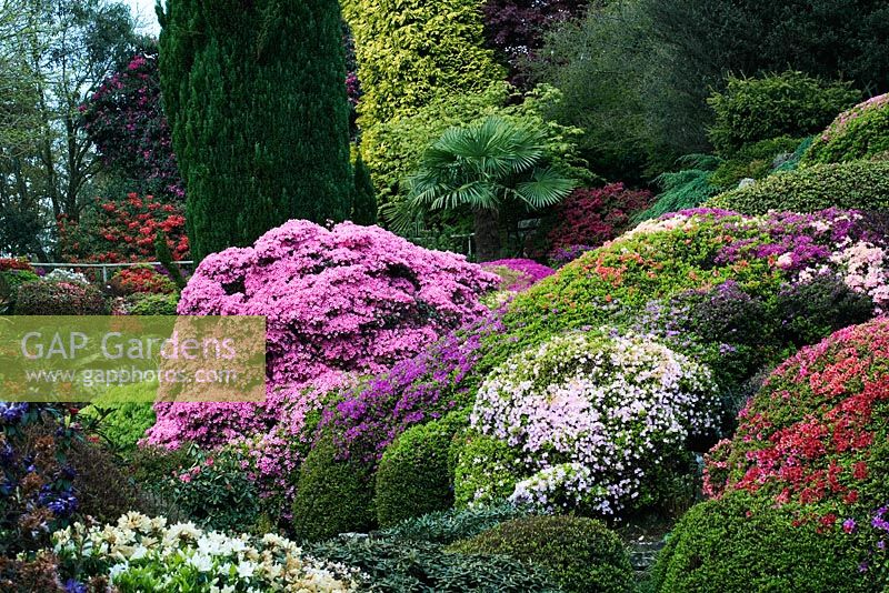 Rock Garden at Leonardslee Gardens, Sussex, Spring
