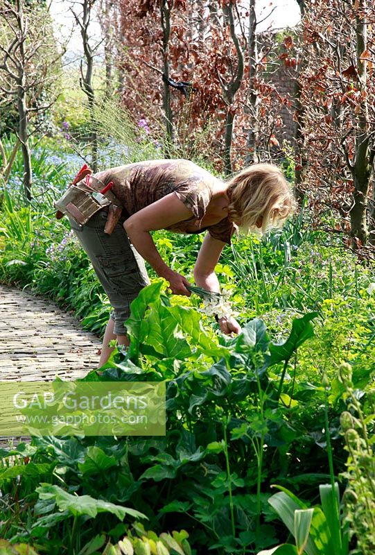 Owner of Geke Rook, Spring garden with special bulbs planting - Jankslooster, Holland

