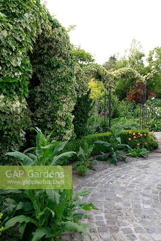 Circular patio and Hedera - Ivy clad arches. The Dillon Garden, Dublin, Ireland