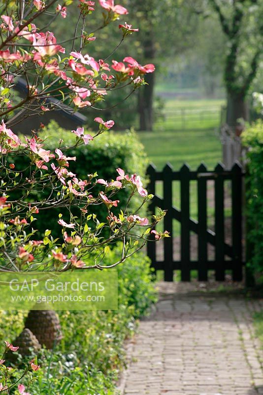 Formal Spring garden in Holland with path leading to gateway