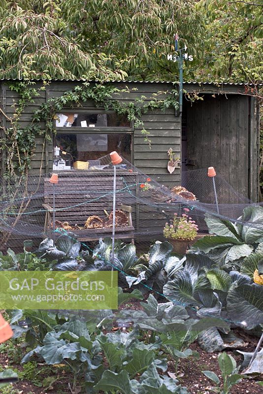 Vegetable garden at Barnsdale Garden