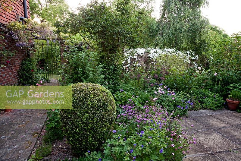 Walled garden and garden gate with Clematis and early summer border including Phuopsis stylosa, Geranium and Aquilegia - Old Buckhurst, Kent