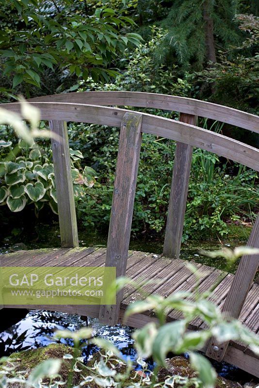 Wooden bridge over pond in Japanese Garden. Barnsdale Garden