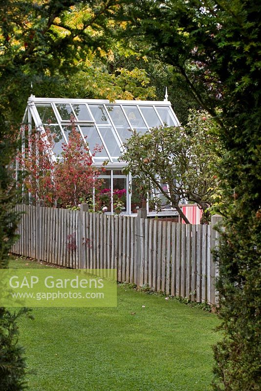 Greenhouse and wooden fence. Barnsdale Garden