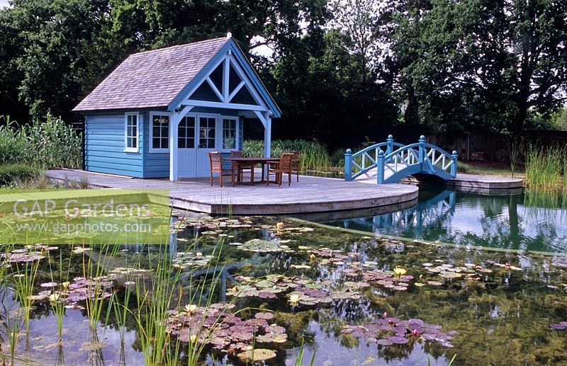 Natural swimming pool and reed filter beds in large London garden with summerhouse and bridge 
 