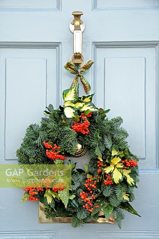 Christmas wreath with green foliage and red Pyracantha berries, hanging from a Georgian front door
