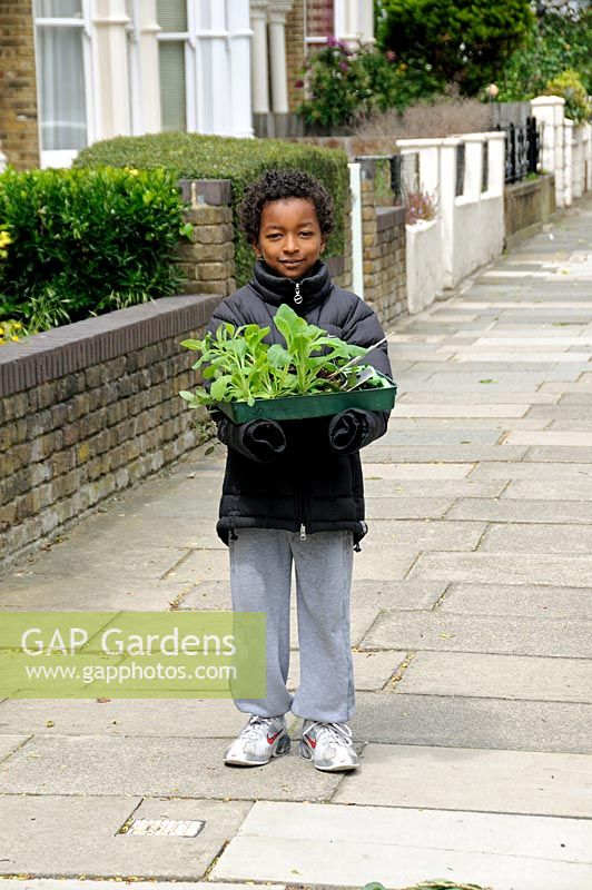 Little boy carrying a tray of plants in an urban street, Hackney, London