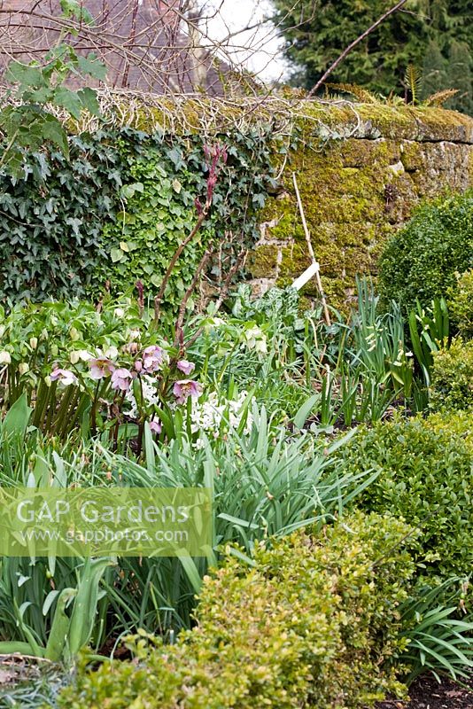 Spring border in walled garden. Sandhill Farm House, Sussex