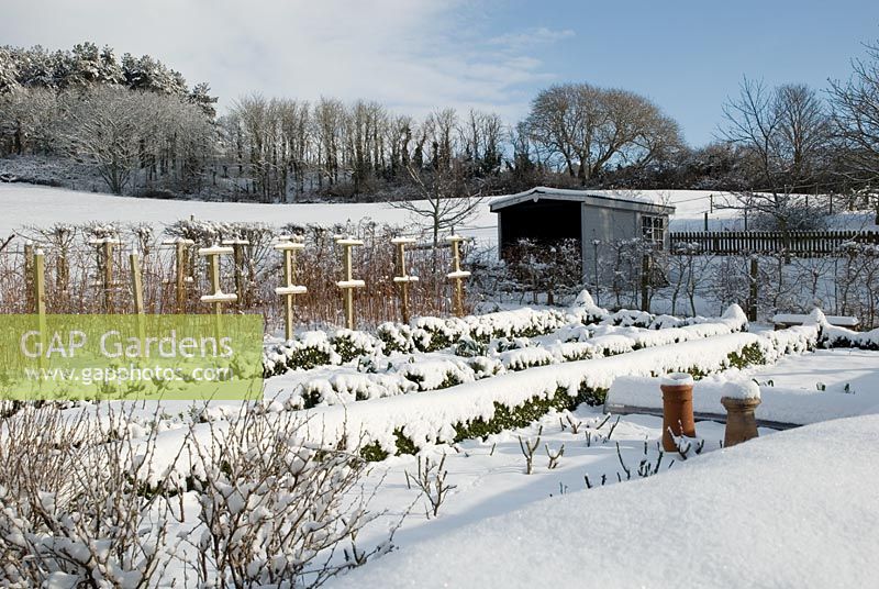 Vegetable garden under snow 