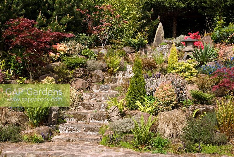 Stone steps leading through the rockery of the Japanese garden at Mount Pleasant Garden, Kelsall, Cheshire 