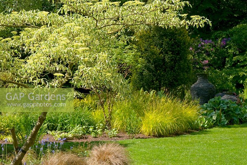 Cornus controversa 'Variegata' with mixed mature borders and layered slate urn sculptures at Threave Garden, owned by The National Trust for Scotland, Dumfries and Galloway 
