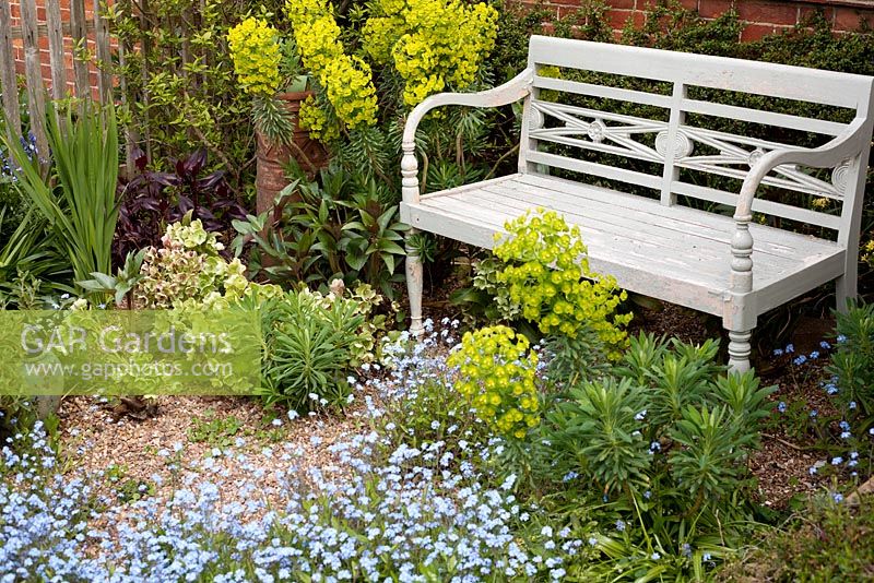 Wooden bench surrounded by border of Euphorbia and Myosotis sylvatica.  Brickwall Cottages, Frittenden, Kent