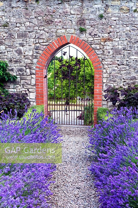 Archway in the walled vegetable garden and Lavandula angustifolium 'Munstead' - Sedbury Park Secret Garden, Orchard House, Sedbury Park, Monmouthshire