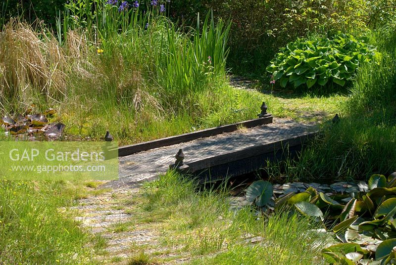 Grassy path leading over wooden bridge and pool with Nymphaea at Glenwhan Gardens, near Stranraer, Wigtownshire