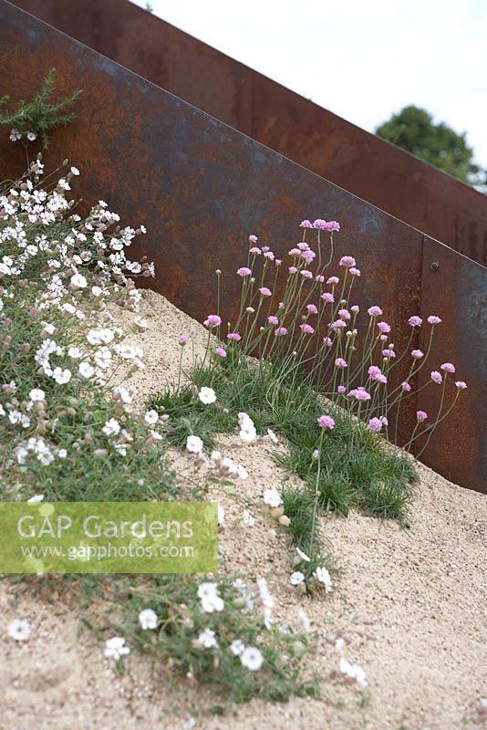 'A Fable for Tomorrow' - Gold Award Winner - RHS Hampton Court Flower Show 2010 