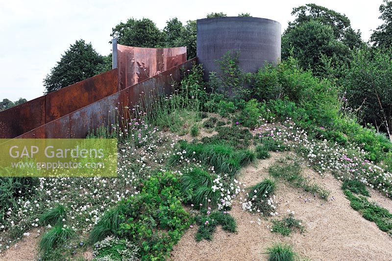 Wild flower planting on sandy bank with large steel structures. Jasione montana, Limonium, Silene unifolium and grasses. 'A Fable for Tomorrow' - Gold Award Winner - RHS Hampton Court Flower Show 2010 
 