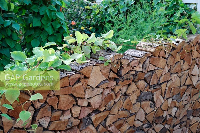 Rustic Log stack garden wall. 'Food 4 Thought' - Gold Medal Winner - RHS Hampton Court Flower Show 2010 
 
