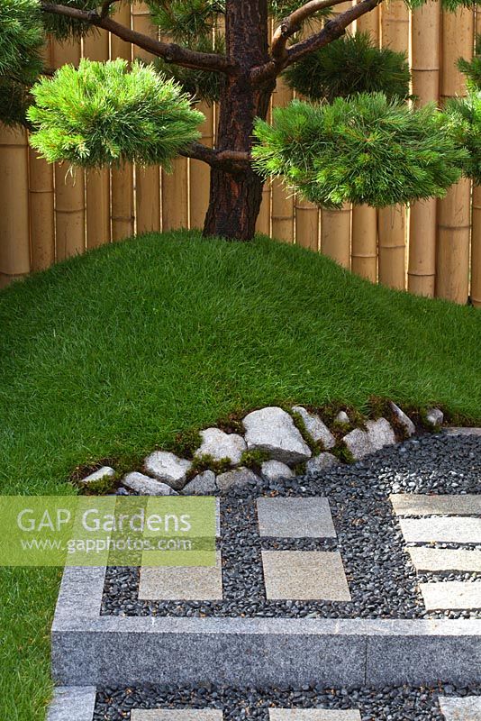Gravel, stone patio and Pine tree. 'Konpira-san' - Gold Medal Winner - RHS Hampton Court Flower Show 2010
 