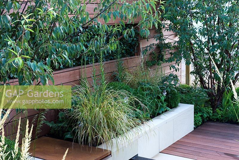 Sunken seating area, surrounded by Prunus serrula and raised beds with green foliage plants. 'Urban Serenity' - Gold Medal Winner - RHS Hampton Court Flower Show 2010 