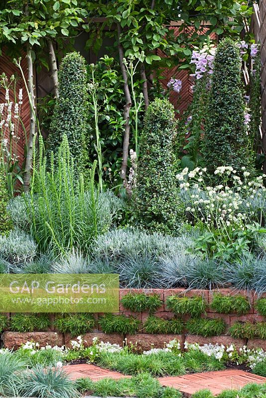 White themed border with planting including Lavandula angustifolia 'Alba', Koeleria glauca and Armeria maritima 'Alba'. 'The Garden Lounge' - Silver Gilt Medal Winner - RHS Hampton Court Flower Show 2010 
 
