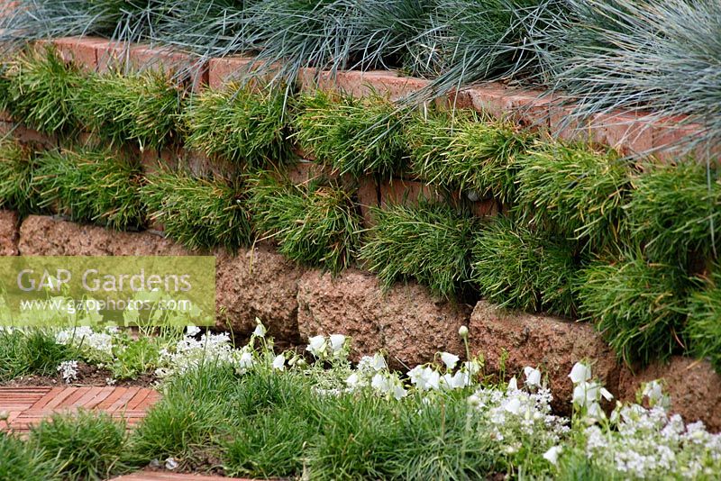 Raised bed planted with grasses. 'The Garden Lounge' - Silver Gilt Medal Winner - RHS Hampton Court Flower Show 2010 
 