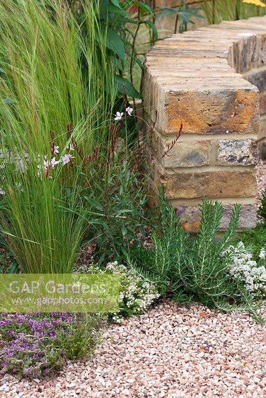 Herbs, grasses and perennials growing through gravel. 'The Fire Pit Garden' - Silver Medal Winner - RHS Hampton Court Flower Show 2010 
 