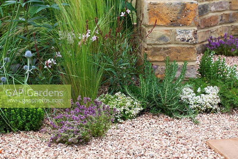 Herbs, grasses and perennials growing through gravel. 'The Fire Pit Garden' - Silver Medal Winner - RHS Hampton Court Flower Show 2010 