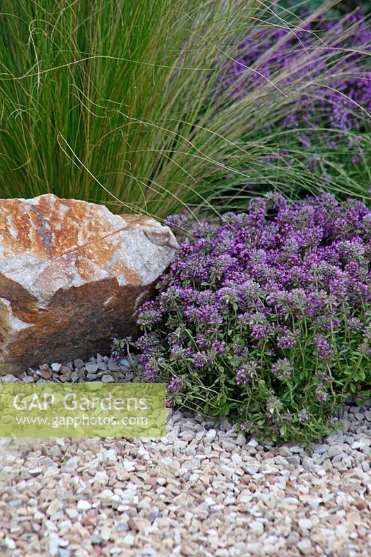 Herbs and grasses in 'The Fire Pit Garden' - Silver Medal Winner at the RHS Hampton Court Flower Show 2010