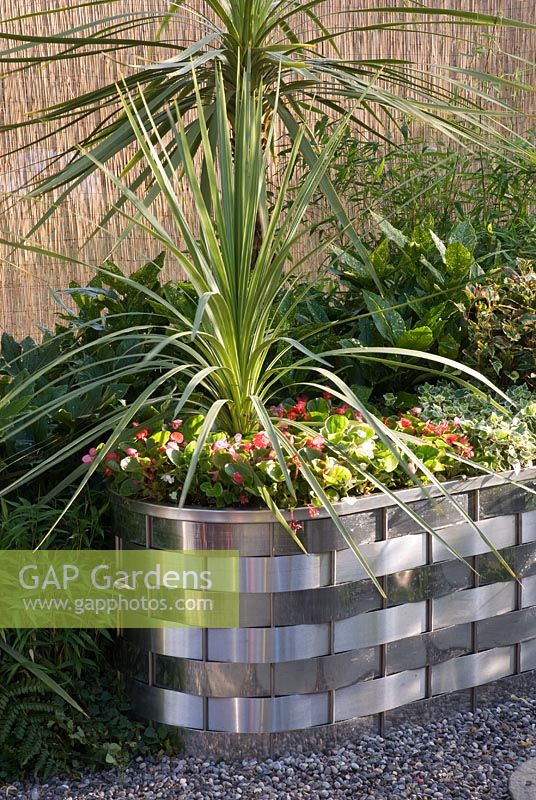 Stainless steel basket weaved container with Cordyline and Impatiens. 'Out of this World' - Bronze Medal Winner -  RHS Hampton Court Flower Show 2010