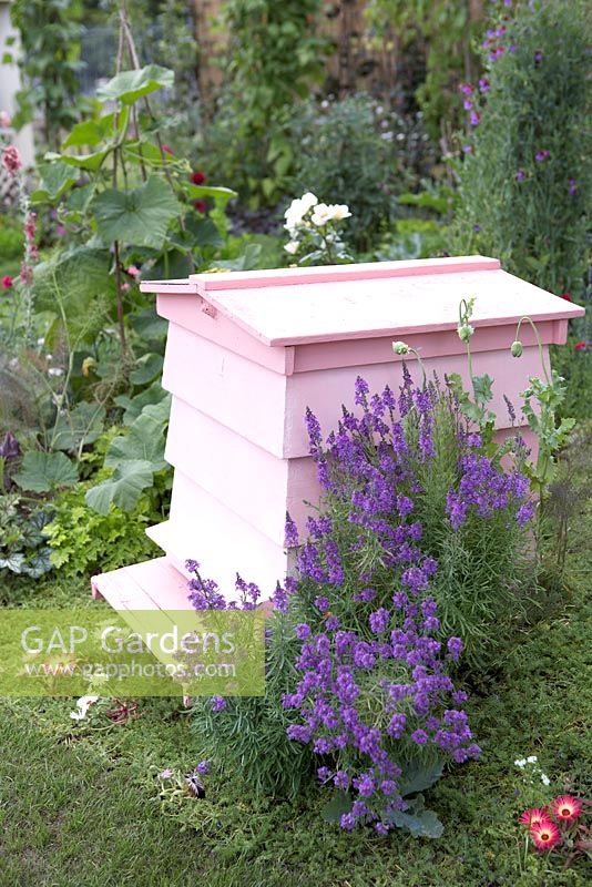 Pink Bee hive and Lavender. 'Twelfth Night' - Bronze Medal winner - RHS Hampton Court Flower Show 2010 