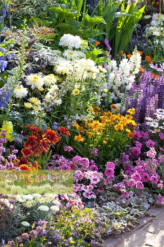 Border of Dahlia, Antirrhinum, Dianthus, Delphinium, Gaillardia, Cosmos bipinnatus, Verbena, Salvia and Ajuga - 'Birchfield', Silver medal winner, RHS Hampton Court Flower Show 2010 
 