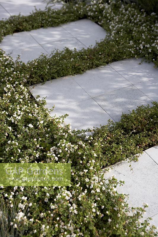 Close up of path -  'The Living Room', Silver medal winner, RHS Hampton Court Flower Show 2010
 