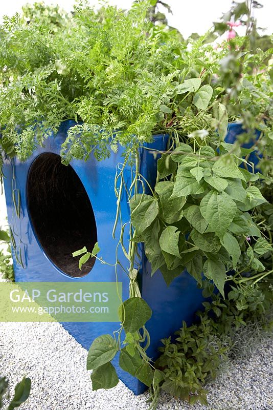 Crawl through blue plastic container - 'The Playful Garden', Bronze medal winner, RHS Hampton Court Flower Show 2010 
