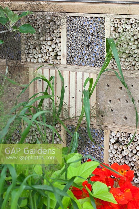 Insect boxes of various materials in the 'Home Grown' garden at RHS Hampton Court Flower Show 2010