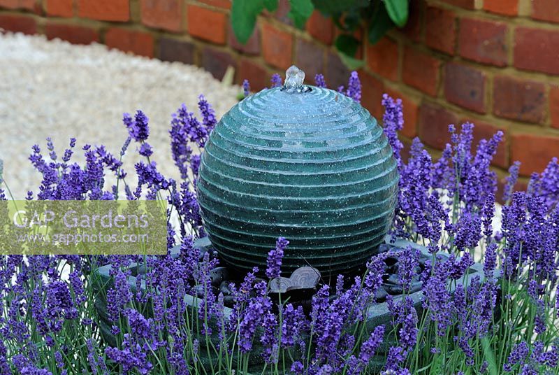 Lavandula 'Hidcote' surrounding a solar powered water feature - 'Food for Thought', Gold medal winner at RHS Hampton Court Flower Show 2010