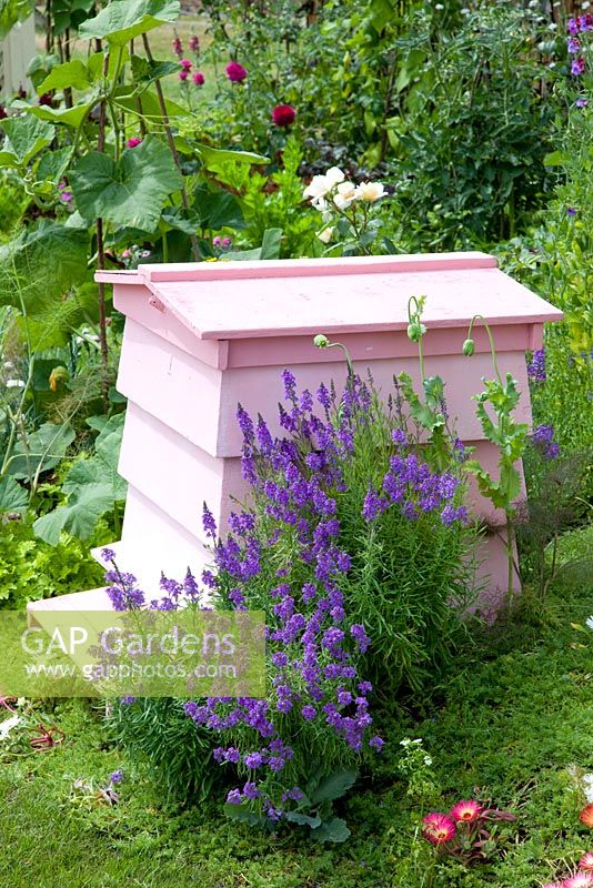 Painted beehive - RHS Hampton Court Flower Show 2010