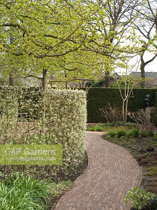 Brick path through formal garden bordered by Pyrus salicifolia hedge. Landscape design - LJ Goedegebuure, Netherlands