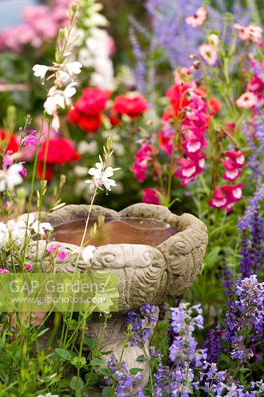 Stone bird bath on a plinth amongst cottage garden flowers