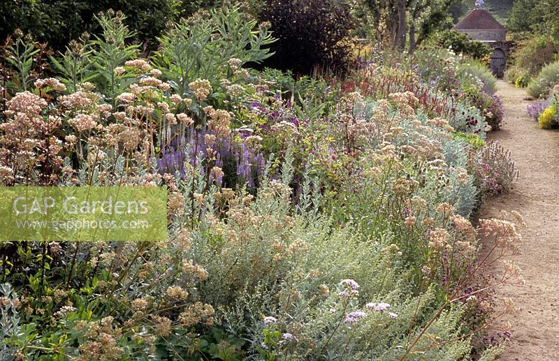 Artemisia 'Valerie Finnis', Allium sphaerocephalon, Red orache and Veronicarstrum album - Parham House and Garden, Sussex
